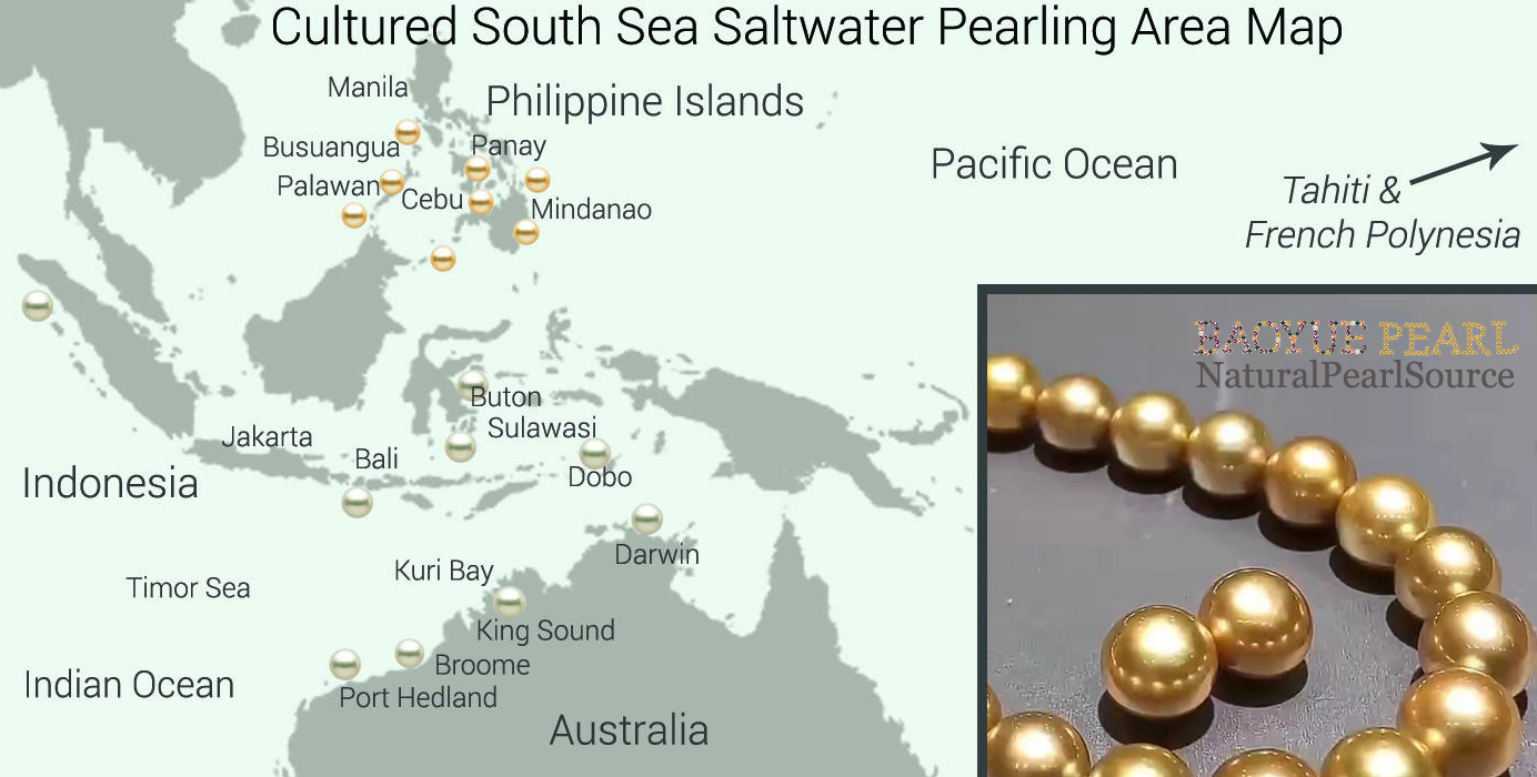 White South Sea pearls are cultured primarily on the Northern Coasts of Australia, andGolden South Sea pearls are mostly farmed in the Philippines.Indonesia cultures a mix of White and pale to light Golden South Sea pearls, and again the majority of the farms are smaller, family owned businesses. The largest operation for Indonesia is Atlas Pearl Company, near Kupang.
